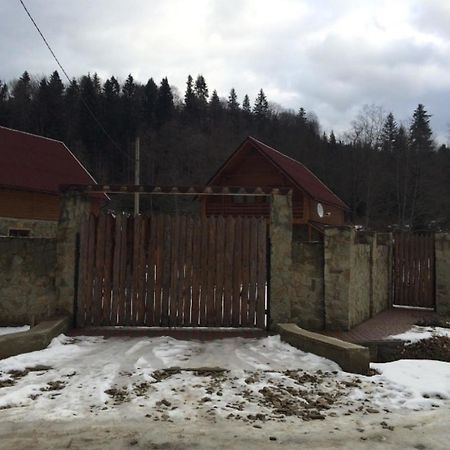 Guest House in Carpathians Myhove Extérieur photo